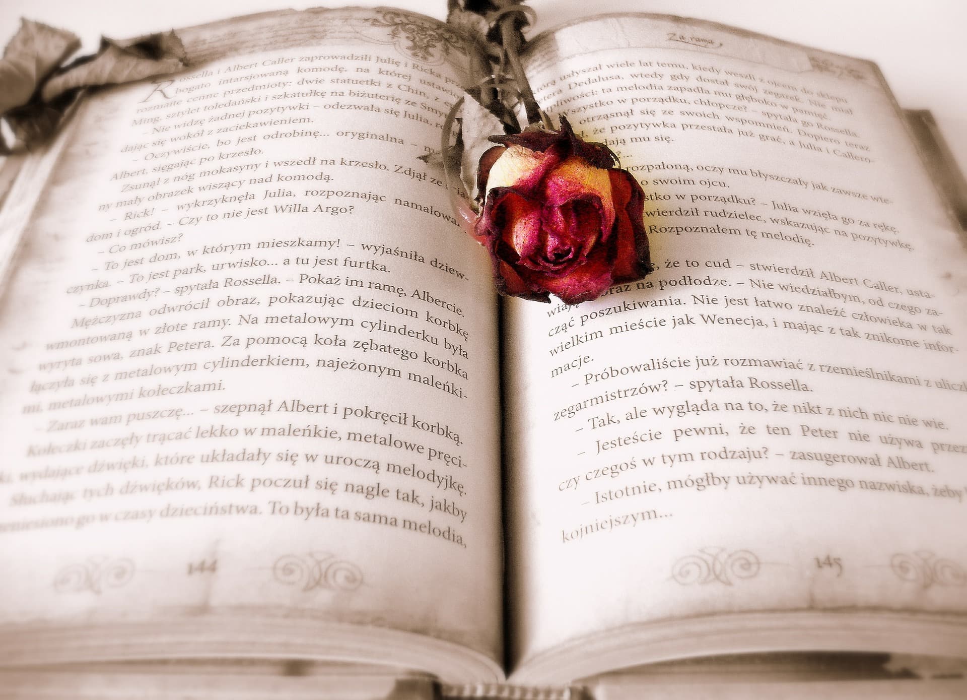 A dried red and yellow rose lies on an open book with text in a decorative script. The pages are aged and slightly curled at the edges, giving a vintage appearance. The focus is on the rose, with the text softly blurred in the background.