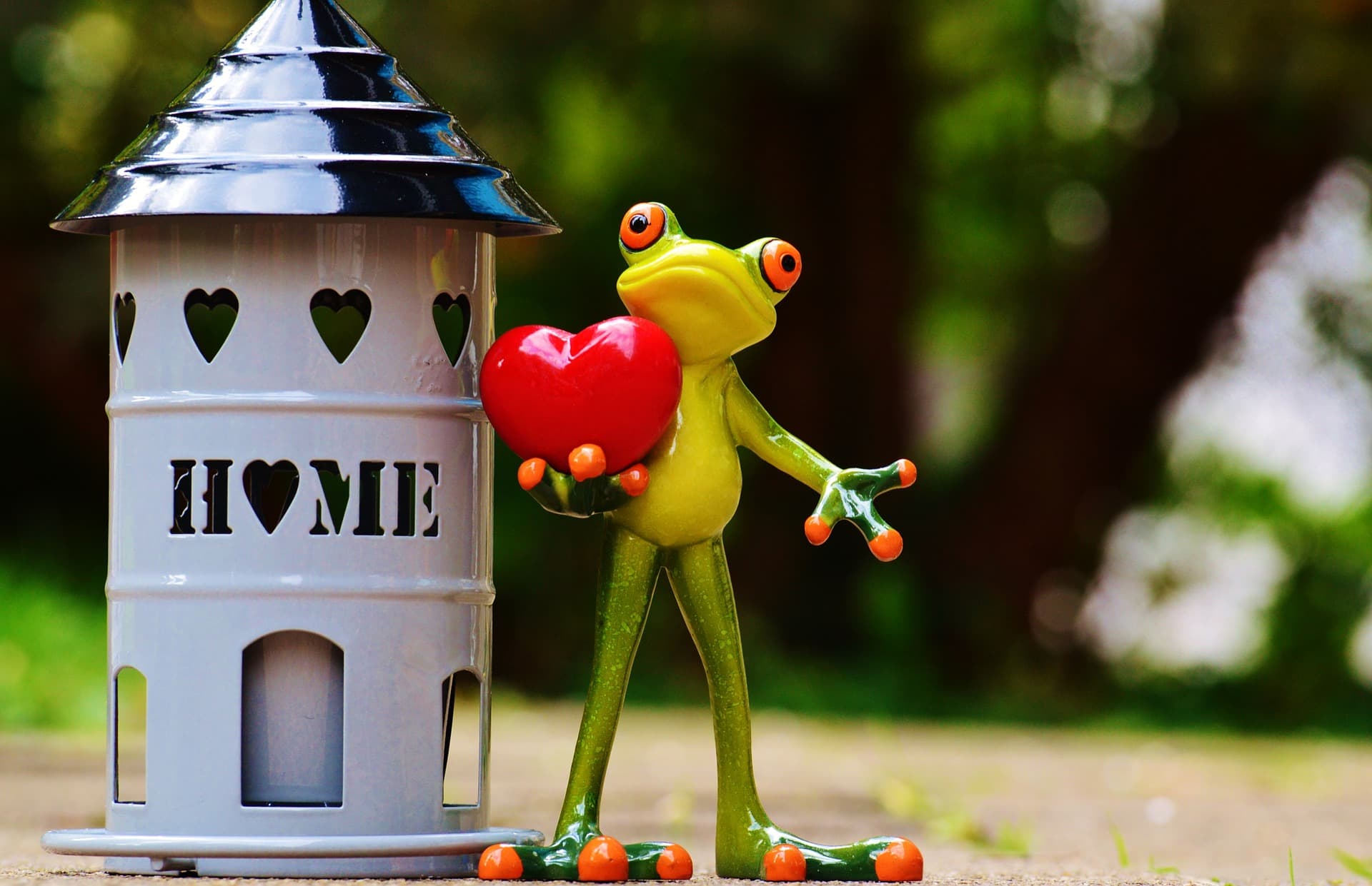 A toy frog holding a red heart stands next to a decorative lantern with heart-shaped cutouts and the word HOME on it. The background is blurred greenery.