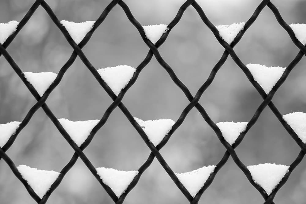 A chain-link fence with a crosshatch pattern is covered with small triangular clumps of snow on each section of wire. The background is blurred, giving a soft, wintry feel to the image.