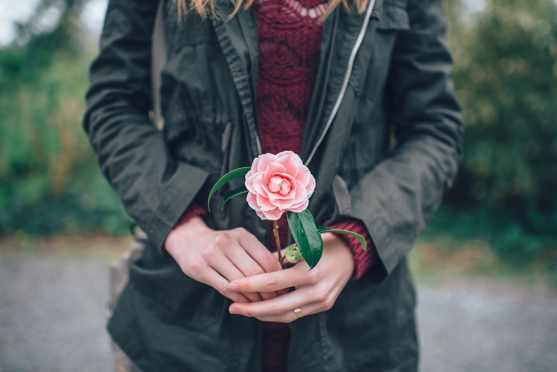 A person in a dark green jacket holds a pink flower with green leaves, standing outdoors on a gravel path. The focus is on the hands and flower, with a blurred natural background.