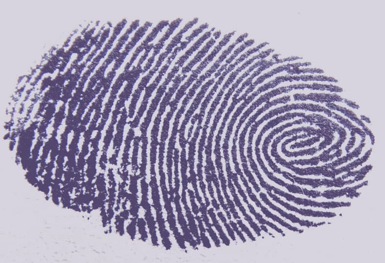 A close-up image of a dark purple fingerprint on a light background, showing clear ridge patterns and loops.