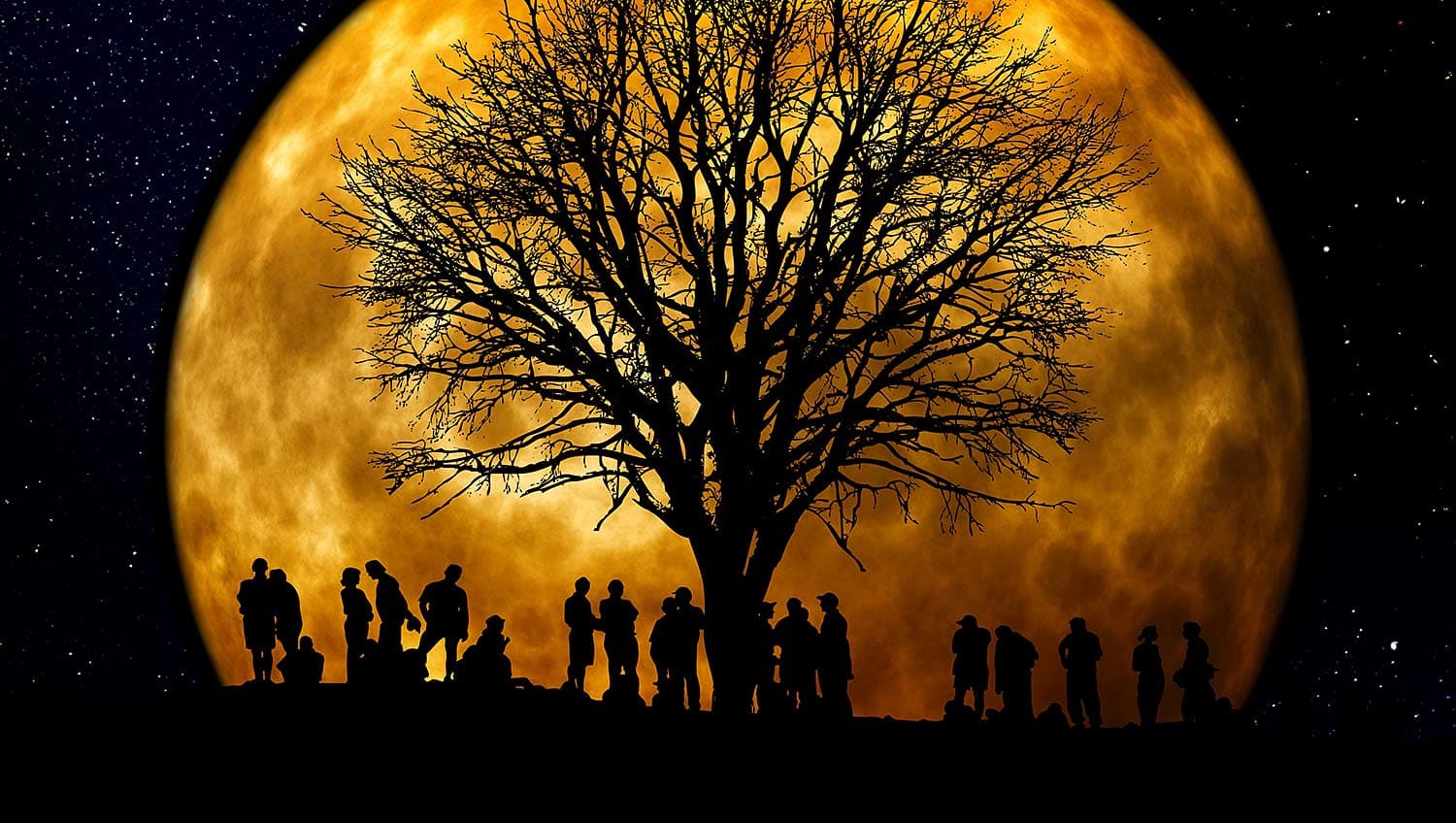 Silhouettes of people standing under a large tree at night, with a full moon illuminating the sky. The moons light creates a striking contrast with the dark figures and the starry background.