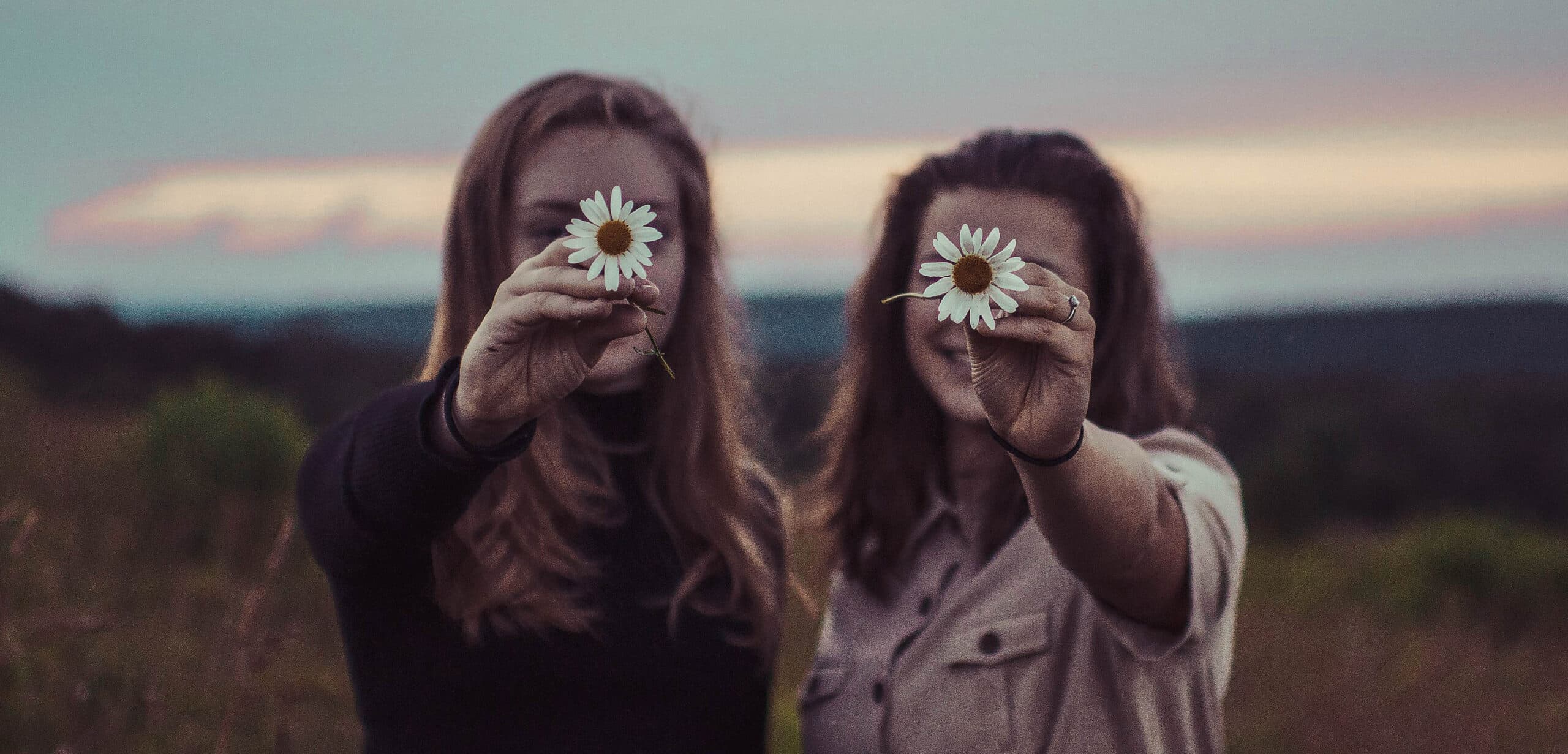 Two people stand in a field at sunset holding daisies in front of their faces. The background shows a blurred landscape with a soft pink and blue sky.
