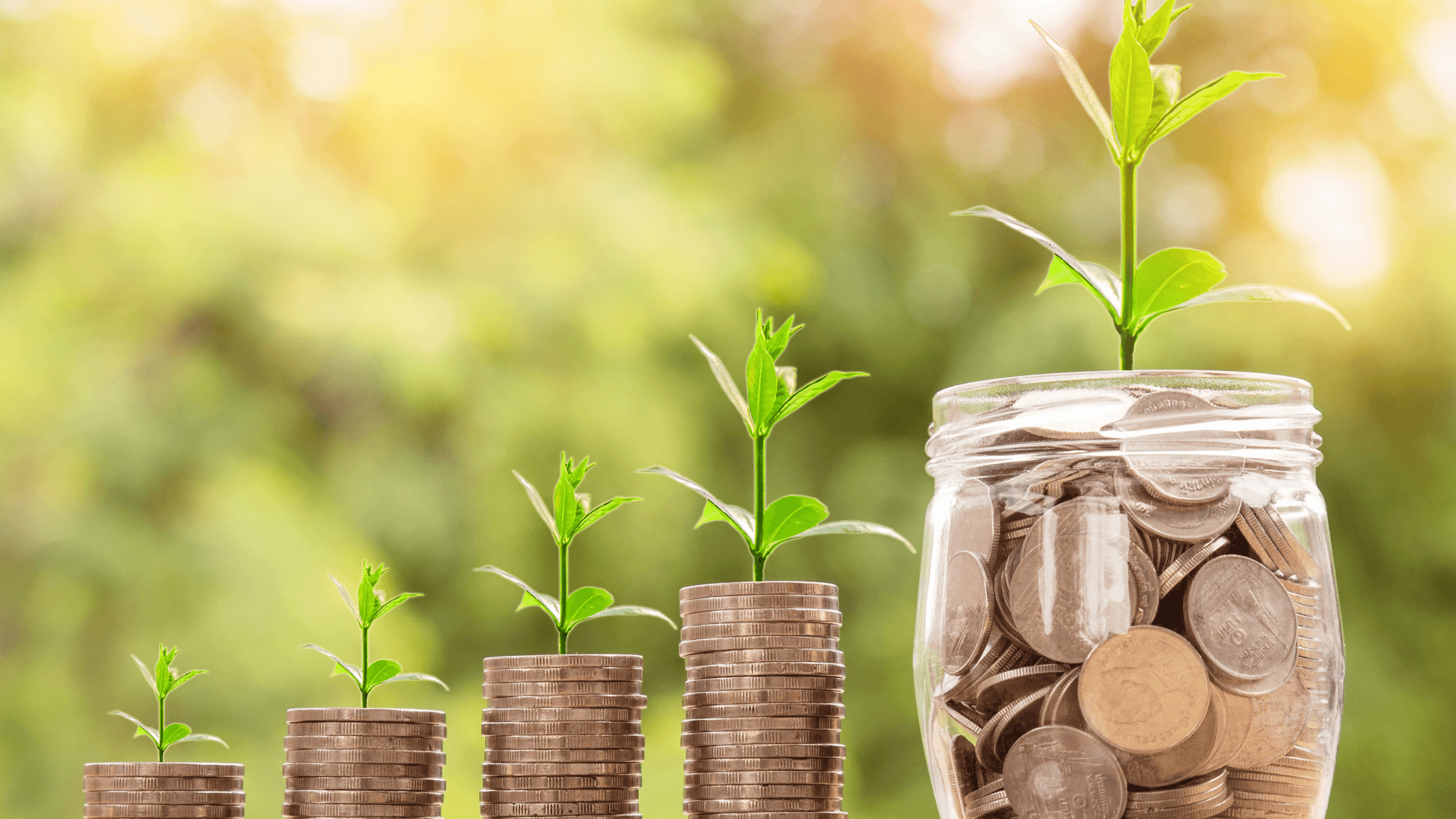 Stacks of coins arranged in ascending order, each topped with a small sprouting plant, symbolizing growth and investment. A jar filled with coins stands beside the stacks with a plant growing from it, set against a blurred green background.