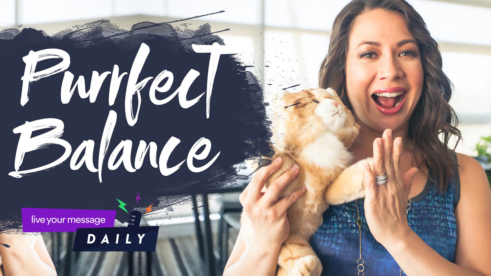 A woman smiling and holding a plush cat in a bright room. Beside her is the text Purrfect Balance. Below is a purple banner with live your message DAILY written on it. The atmosphere is cheerful and energetic.