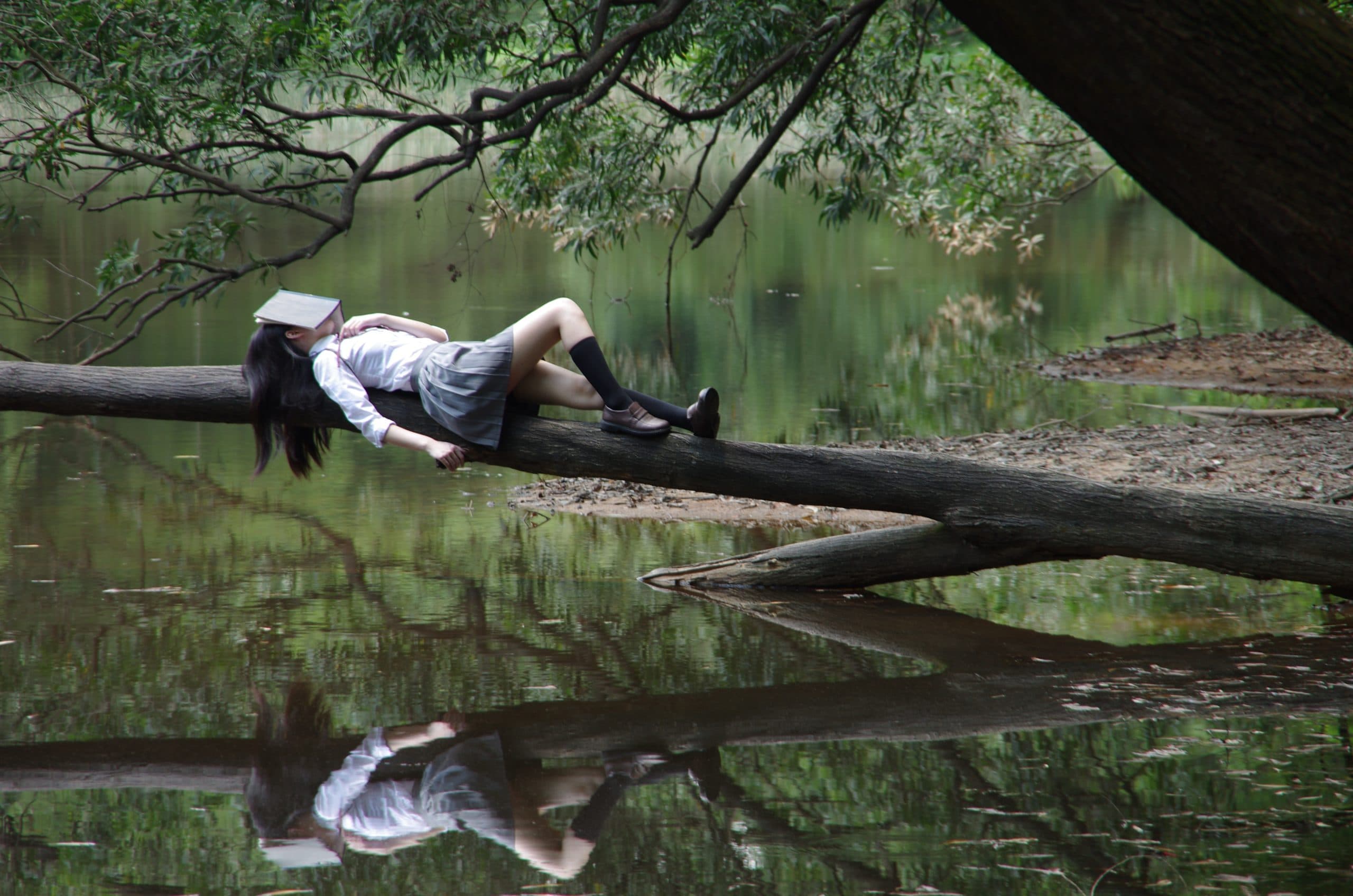 A person in a school uniform lies on a tree branch over a calm body of water. They have an open book covering their face, with their reflection visible in the water. Surrounding are lush green trees and serene nature.