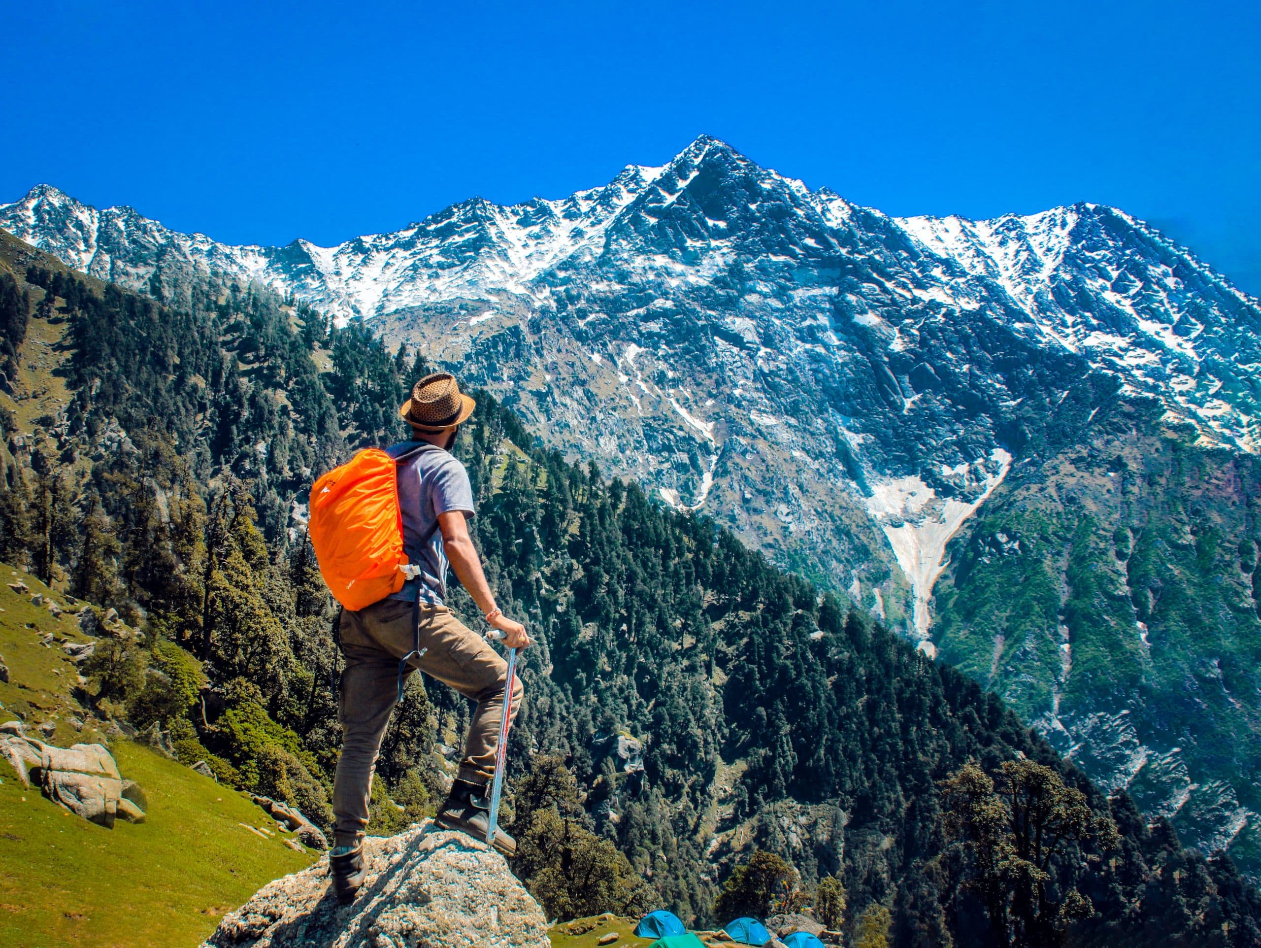 A hiker with an orange backpack and hat stands on a rock, overlooking a vast mountain range with snow-capped peaks under a clear blue sky. Lush greenery covers the lower slopes.