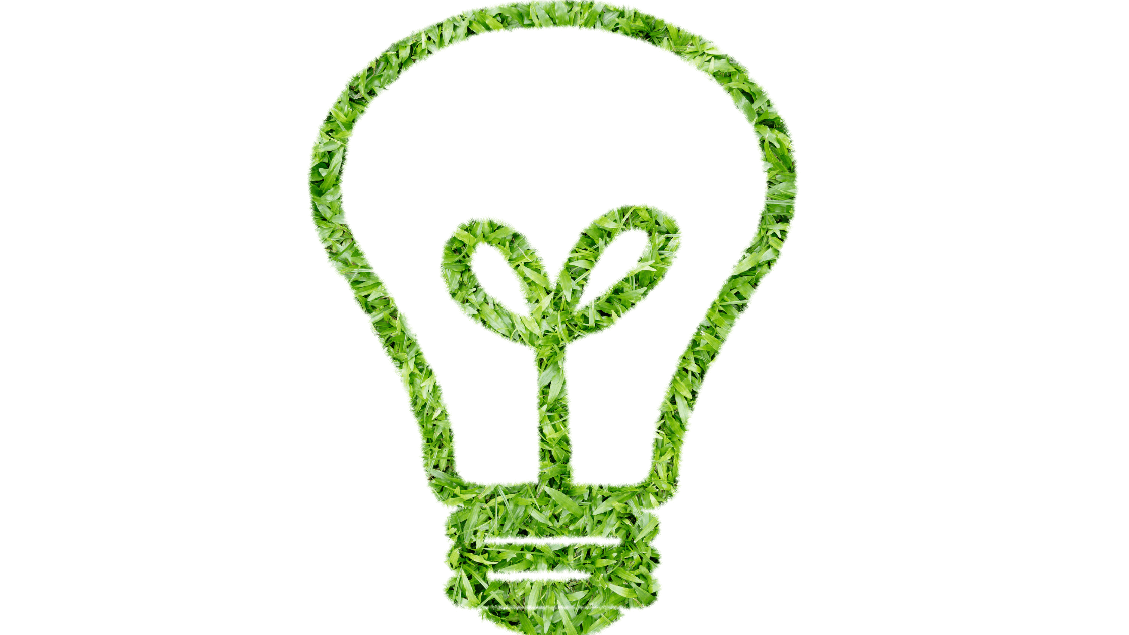 Illustration of a light bulb shape made from green grass, symbolizing eco-friendly or sustainable energy. The grass texture creates a natural, environmental theme against a white background.